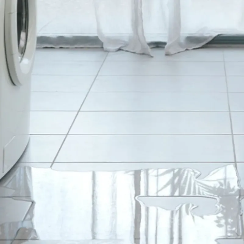 Appliance Leak Cleanup in Vandalia, MO