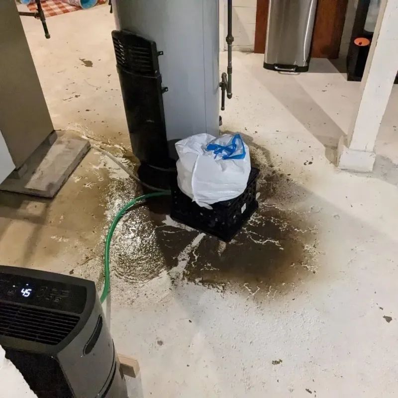 Sewage Backup Cleanup Service in Vandalia, MO